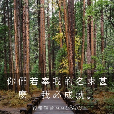 Picture 03 - 約 翰 福 音 14:14 CUVT - 你 們 若 奉 我 的 名 求 甚 麼 ， 我 - Bible Verse Picture