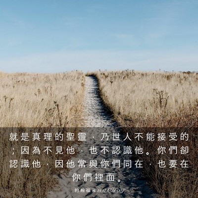 Picture 03 - 約 翰 福 音 14:17 CUVT - 就 是 真 理 的 聖 靈 ， 乃 世 人 不 - Bible Verse Picture
