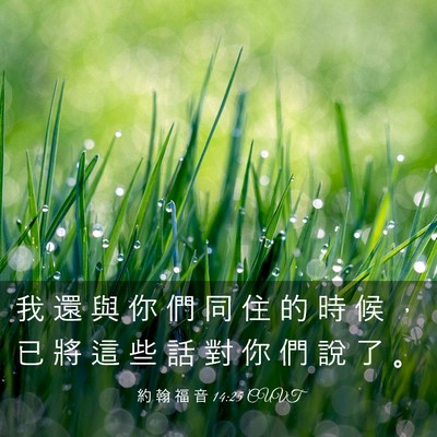 Picture 03 - 約 翰 福 音 14:25 CUVT - 我 還 與 你 們 同 住 的 時 候 ， 已 - Bible Verse Picture