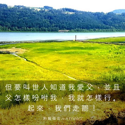 Picture 03 - 約 翰 福 音 14:31 CUVT - 但 要 叫 世 人 知 道 我 愛 父 ， 並 - Bible Verse Picture