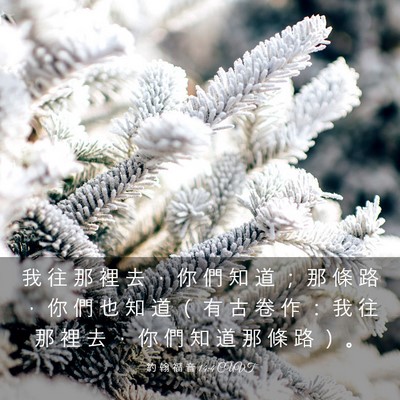 Picture 03 - 約 翰 福 音 14:4 CUVT - 我 往 那 裡 去 ， 你 們 知 道 ； 那 - Bible Verse Picture