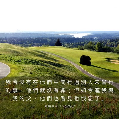 Picture 03 - 約 翰 福 音 15:24 CUVT - 我 若 沒 有 在 他 們 中 間 行 過 別 - Bible Verse Picture