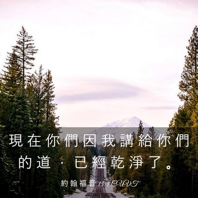 Picture 03 - 約 翰 福 音 15:3 CUVT - 現 在 你 們 因 我 講 給 你 們 的 道 - Bible Verse Picture