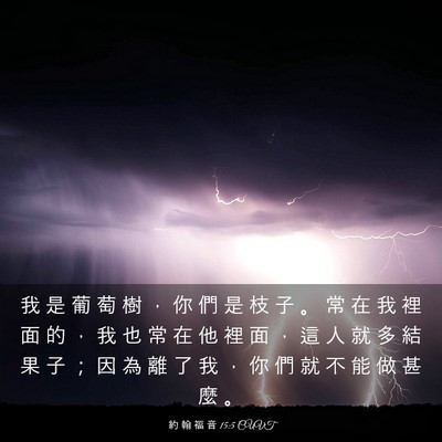 Picture 03 - 約 翰 福 音 15:5 CUVT - 我 是 葡 萄 樹 ， 你 們 是 枝 子 。 - Bible Verse Picture