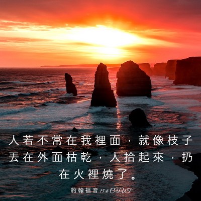 Picture 03 - 約 翰 福 音 15:6 CUVT - 人 若 不 常 在 我 裡 面 ， 就 像 枝 - Bible Verse Picture