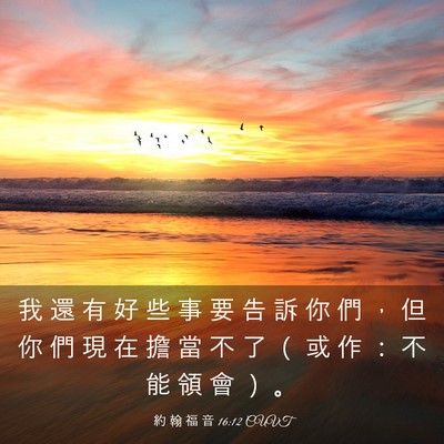 Picture 03 - 約 翰 福 音 16:12 CUVT - 我 還 有 好 些 事 要 告 訴 你 們 ， - Bible Verse Picture