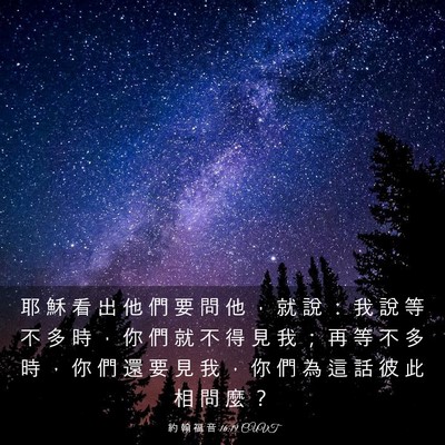 Picture 03 - 約 翰 福 音 16:19 CUVT - 耶 穌 看 出 他 們 要 問 他 ， 就 說 - Bible Verse Picture
