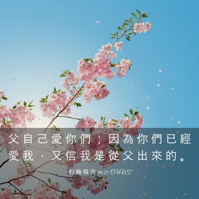 Picture 03 - 約 翰 福 音 16:27 CUVT - 父 自 己 愛 你 們 ； 因 為 你 們 已 - Bible Verse Picture