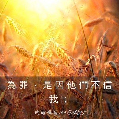 Picture 03 - 約 翰 福 音 16:9 CUVT - 為 罪 ， 是 因 他 們 不 信 我 - Bible Verse Picture