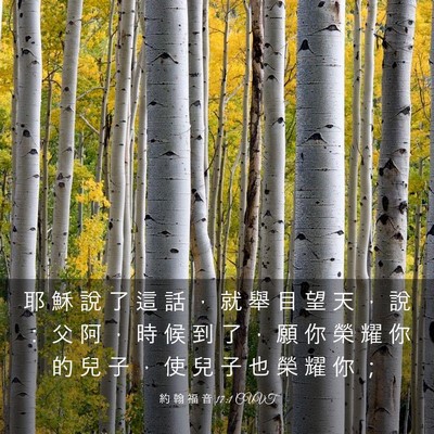 Picture 03 - 約 翰 福 音 17:1 CUVT - 耶 穌 說 了 這 話 ， 就 舉 目 望 天 - Bible Verse Picture