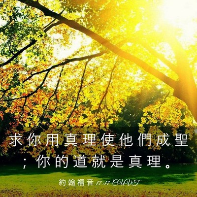 Picture 03 - 約 翰 福 音 17:17 CUVT - 求 你 用 真 理 使 他 們 成 聖 ； 你 - Bible Verse Picture