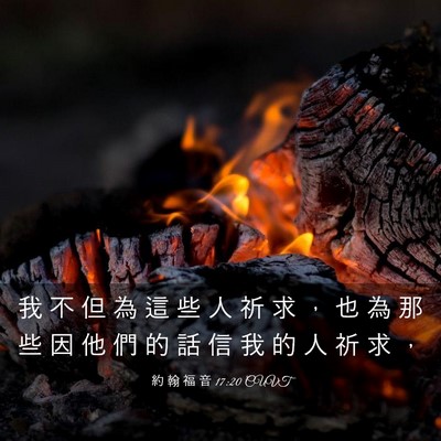 Picture 03 - 約 翰 福 音 17:20 CUVT - 我 不 但 為 這 些 人 祈 求 ， 也 為 - Bible Verse Picture