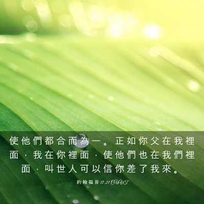 Picture 03 - 約 翰 福 音 17:21 CUVT - 使 他 們 都 合 而 為 一 。 正 如 你 - Bible Verse Picture