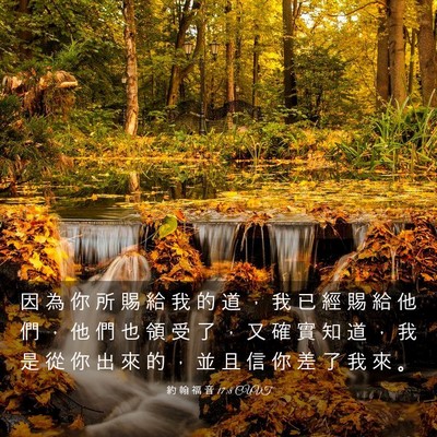 Picture 03 - 約 翰 福 音 17:8 CUVT - 因 為 你 所 賜 給 我 的 道 ， 我 已 - Bible Verse Picture