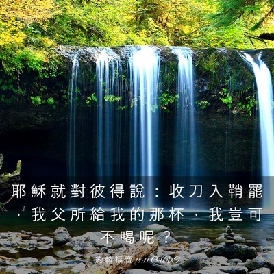 Picture 03 - 約 翰 福 音 18:11 CUVT - 耶 穌 就 對 彼 得 說 ： 收 刀 入 鞘 - Bible Verse Picture