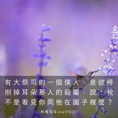 Picture 03 - 約 翰 福 音 18:26 CUVT - 有 大 祭 司 的 一 個 僕 人 ， 是 彼 - Bible Verse Picture