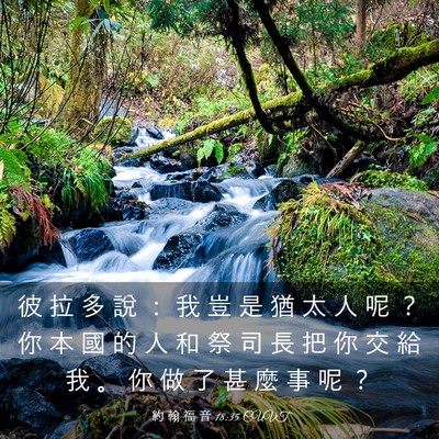 Picture 03 - 約 翰 福 音 18:35 CUVT - 彼 拉 多 說 ： 我 豈 是 猶 太 人 呢 - Bible Verse Picture