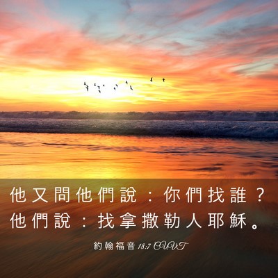 Picture 03 - 約 翰 福 音 18:7 CUVT - 他 又 問 他 們 說 ： 你 們 找 誰 ？ - Bible Verse Picture