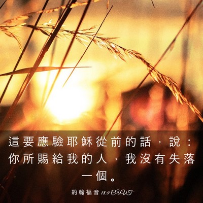 Picture 03 - 約 翰 福 音 18:9 CUVT - 這 要 應 驗 耶 穌 從 前 的 話 ， 說 - Bible Verse Picture