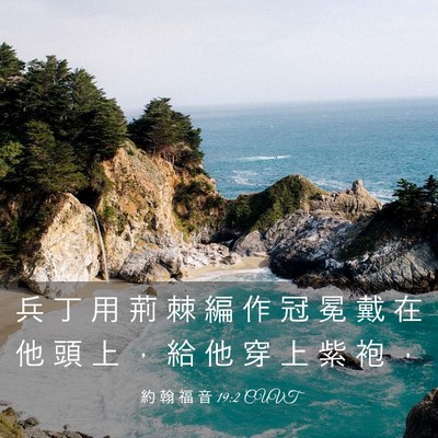 Picture 03 - 約 翰 福 音 19:2 CUVT - 兵 丁 用 荊 棘 編 作 冠 冕 戴 在 他 - Bible Verse Picture