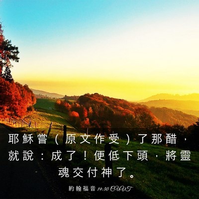 Picture 03 - 約 翰 福 音 19:30 CUVT - 耶 穌 嘗 （ 原 文 作 受 ） 了 那 醋 - Bible Verse Picture