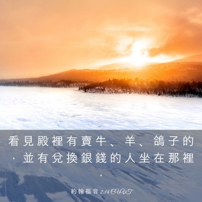 Picture 03 - 約 翰 福 音 2:14 CUVT - 看 見 殿 裡 有 賣 牛 、 羊 、 鴿 子 - Bible Verse Picture
