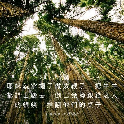 Picture 03 - 約 翰 福 音 2:15 CUVT - 耶 穌 就 拿 繩 子 做 成 鞭 子 ， 把 - Bible Verse Picture