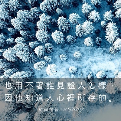 Picture 03 - 約 翰 福 音 2:25 CUVT - 也 用 不 著 誰 見 證 人 怎 樣 ， 因 - Bible Verse Picture