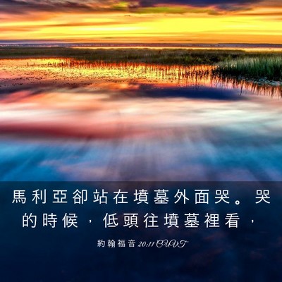 Picture 03 - 約 翰 福 音 20:11 CUVT - 馬 利 亞 卻 站 在 墳 墓 外 面 哭 。 - Bible Verse Picture