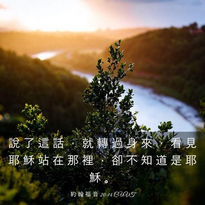 Picture 03 - 約 翰 福 音 20:14 CUVT - 說 了 這 話 ， 就 轉 過 身 來 ， 看 - Bible Verse Picture