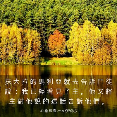 Picture 03 - 約 翰 福 音 20:18 CUVT - 抹 大 拉 的 馬 利 亞 就 去 告 訴 門 - Bible Verse Picture