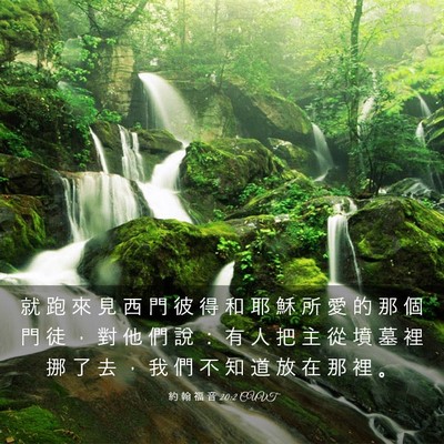 Picture 03 - 約 翰 福 音 20:2 CUVT - 就 跑 來 見 西 門 彼 得 和 耶 穌 所 - Bible Verse Picture
