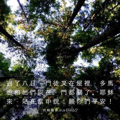 Picture 03 - 約 翰 福 音 20:26 CUVT - 過 了 八 日 ， 門 徒 又 在 屋 裡 ， - Bible Verse Picture