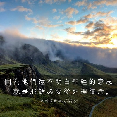 Picture 03 - 約 翰 福 音 20:9 CUVT - 因 為 他 們 還 不 明 白 聖 經 的 意 - Bible Verse Picture