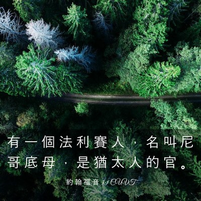 Picture 03 - 約 翰 福 音 3:1 CUVT - 有 一 個 法 利 賽 人 ， 名 叫 尼 哥 - Bible Verse Picture
