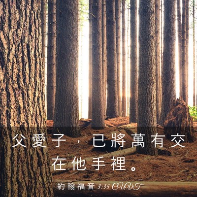 Picture 03 - 約 翰 福 音 3:35 CUVT - 父 愛 子 ， 已 將 萬 有 交 在 他 手 - Bible Verse Picture