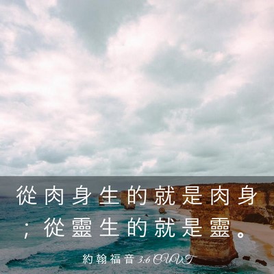 Picture 03 - 約 翰 福 音 3:6 CUVT - 從 肉 身 生 的 就 是 肉 身 ； 從 靈 - Bible Verse Picture