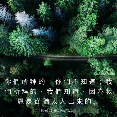 Picture 03 - 約 翰 福 音 4:22 CUVT - 你 們 所 拜 的 ， 你 們 不 知 道 ； - Bible Verse Picture