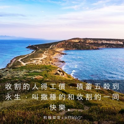 Picture 03 - 約 翰 福 音 4:36 CUVT - 收 割 的 人 得 工 價 ， 積 蓄 五 穀 - Bible Verse Picture
