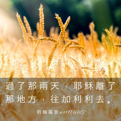 Picture 03 - 約 翰 福 音 4:43 CUVT - 過 了 那 兩 天 ， 耶 穌 離 了 那 地 - Bible Verse Picture