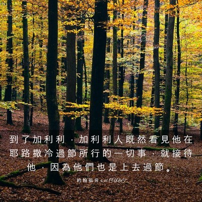 Picture 03 - 約 翰 福 音 4:45 CUVT - 到 了 加 利 利 ， 加 利 利 人 既 然 - Bible Verse Picture