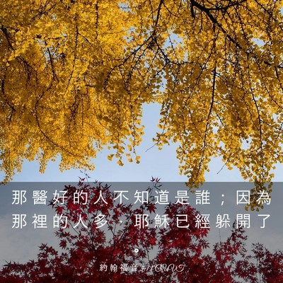 Picture 03 - 約 翰 福 音 5:13 CUVT - 那 醫 好 的 人 不 知 道 是 誰 ； 因 - Bible Verse Picture