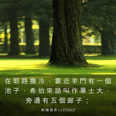 Picture 03 - 約 翰 福 音 5:2 CUVT - 在 耶 路 撒 冷 ， 靠 近 羊 門 有 一 - Bible Verse Picture