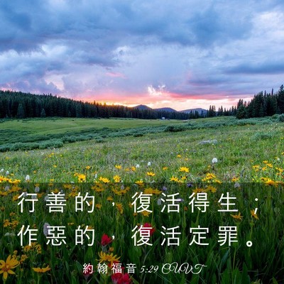 Picture 03 - 約 翰 福 音 5:29 CUVT - 行 善 的 ， 復 活 得 生 ； 作 惡 的 - Bible Verse Picture