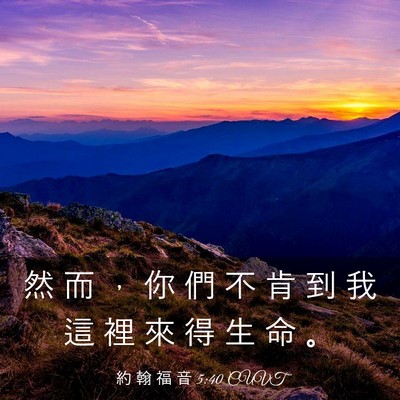 Picture 03 - 約 翰 福 音 5:40 CUVT - 然 而 ， 你 們 不 肯 到 我 這 裡 來 - Bible Verse Picture