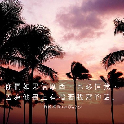 Picture 03 - 約 翰 福 音 5:46 CUVT - 你 們 如 果 信 摩 西 ， 也 必 信 我 - Bible Verse Picture
