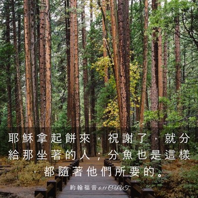 Picture 03 - 約 翰 福 音 6:11 CUVT - 耶 穌 拿 起 餅 來 ， 祝 謝 了 ， 就 - Bible Verse Picture