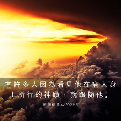 Picture 03 - 約 翰 福 音 6:2 CUVT - 有 許 多 人 因 為 看 見 他 在 病 人 - Bible Verse Picture