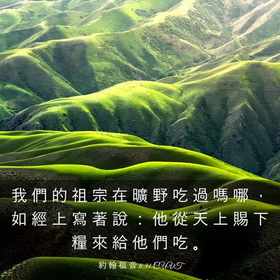 Picture 03 - 約 翰 福 音 6:31 CUVT - 我 們 的 祖 宗 在 曠 野 吃 過 嗎 哪 - Bible Verse Picture