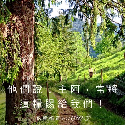 Picture 03 - 約 翰 福 音 6:34 CUVT - 他 們 說 ： 主 阿 ， 常 將 這 糧 賜 - Bible Verse Picture